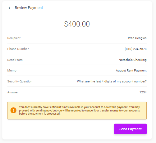 picture of Nugget Pay Anyone review payment page.