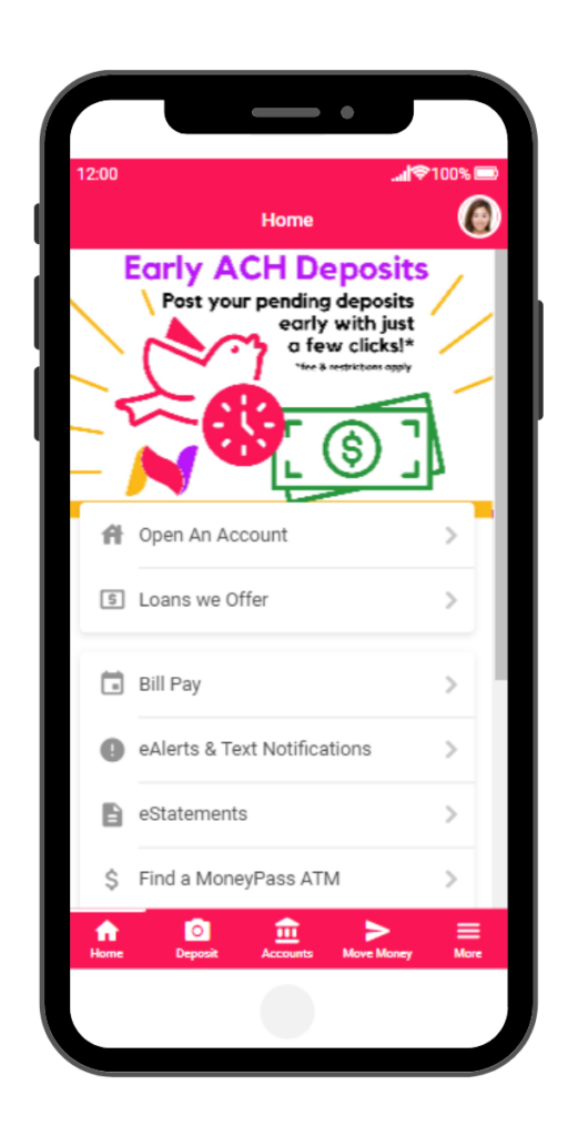 Screenshot of the early ACH feature in Nugget.