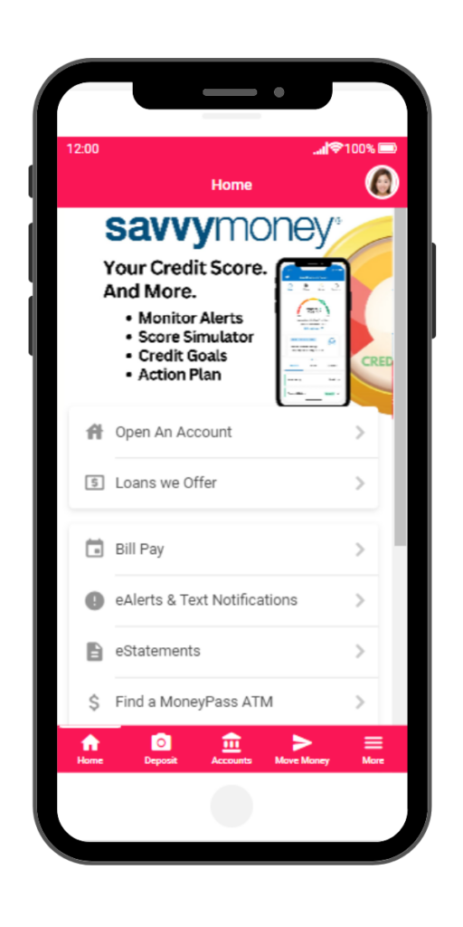 Image of SavvyMoney in Nugget.
